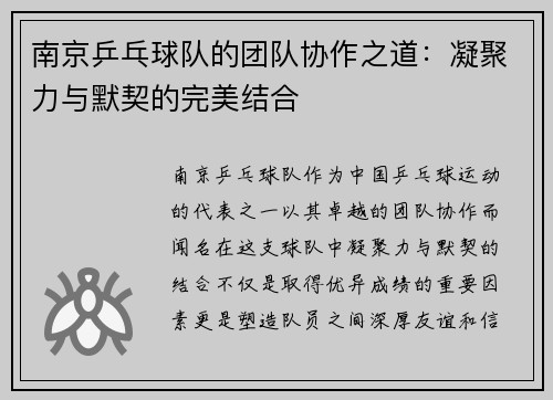 南京乒乓球队的团队协作之道：凝聚力与默契的完美结合