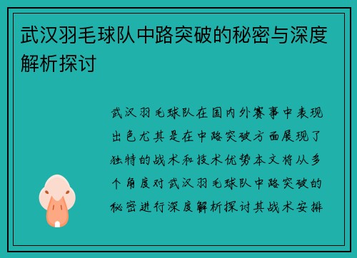 武汉羽毛球队中路突破的秘密与深度解析探讨