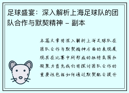足球盛宴：深入解析上海足球队的团队合作与默契精神 - 副本