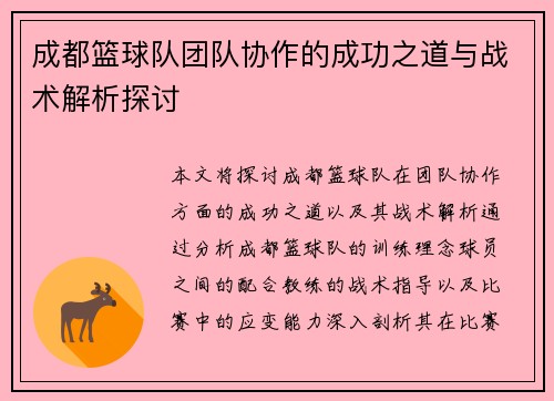 成都篮球队团队协作的成功之道与战术解析探讨