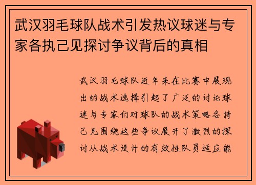 武汉羽毛球队战术引发热议球迷与专家各执己见探讨争议背后的真相